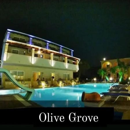 Olivegrove Apartment Sidari  Exterior photo